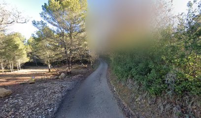 Tarella Joël, Taxi à Meyrargues