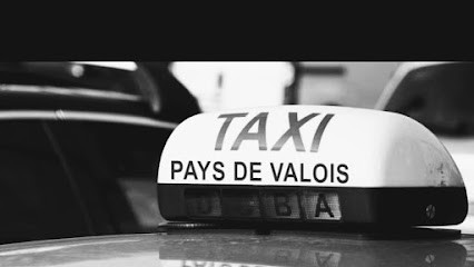 Taxi Mickael b, Taxi à Mareuil-sur-Ourcq