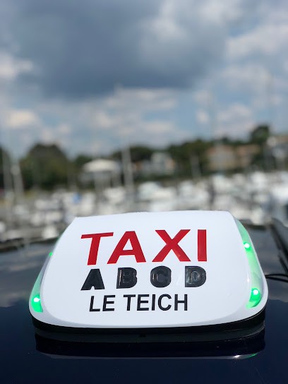 TAXI LE TEICH 01, Taxi au Teich