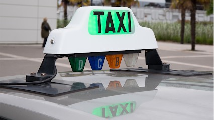 TAXI TARRICONE CYRILLE, Taxi à Saint-Georges-de-Commiers