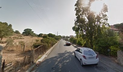 Guidicelli Marie-France, Taxi à L'Île-Rousse
