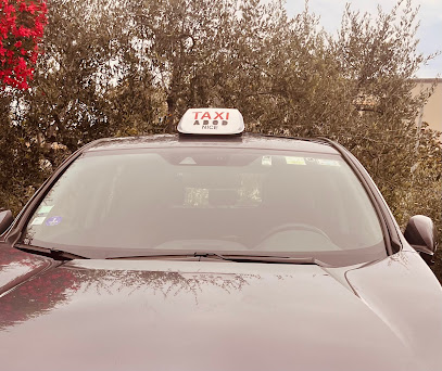Taxi Nico, Taxi à Nice