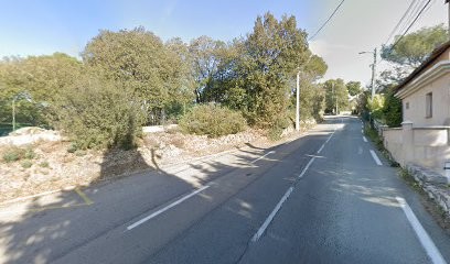 Revazur, Chauffeur Particulier VTC à Auribeau-sur-Siagne