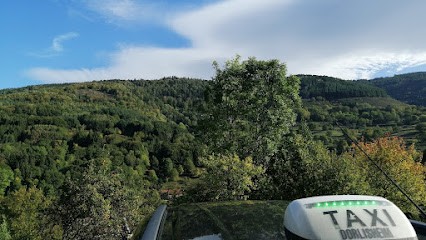 EIRL SAINTE ODILE, Taxi à Neuviller-la-Roche