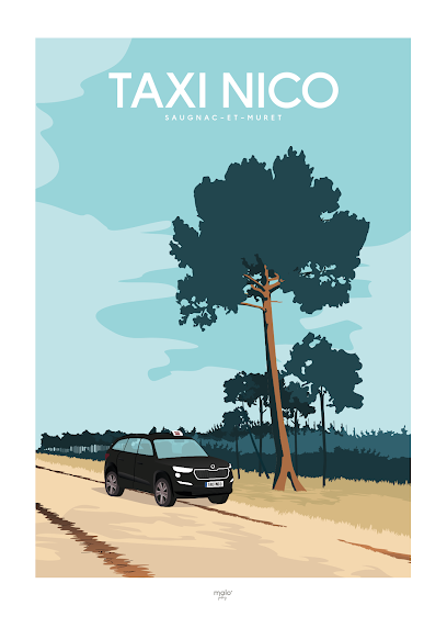 Taxi Nico Taxi à Saugnac-et-Muret
