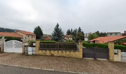 Pélissier Dominique, Taxi au Chambon-Feugerolles