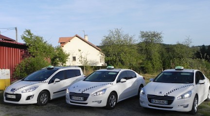 TAXI GADON, Taxi à Sardent