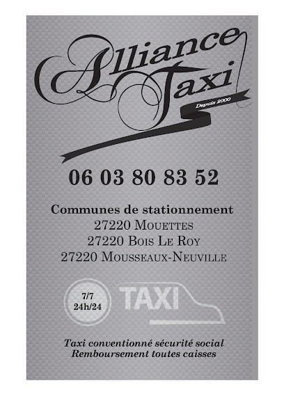 Alliance Taxi, Taxi à Mouettes