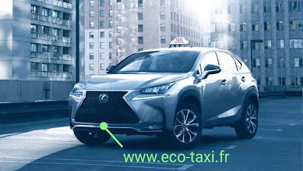 Taxi.Grand.Bordeaux, Taxi à Cestas