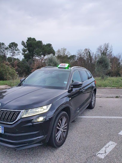 TAXI NATHALIE MOISSAC-BELLEVUE, Taxi à Moissac-Bellevue