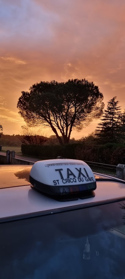 Classique taxi, Taxi à Saint-Cricq-du-Gave