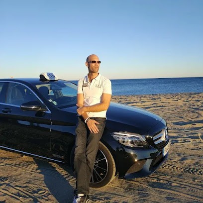 TAXI PRINCE 66, Taxi au Soler