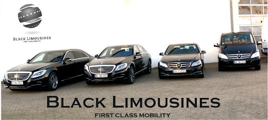 Limousine Service Monaco, Chauffeur Particulier VTC à Roquebrune-Cap-Martin