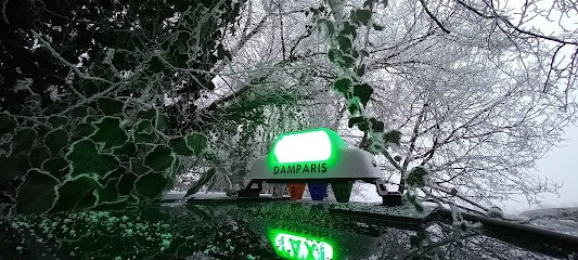 Taxi Damparisien, Taxi à Monnières