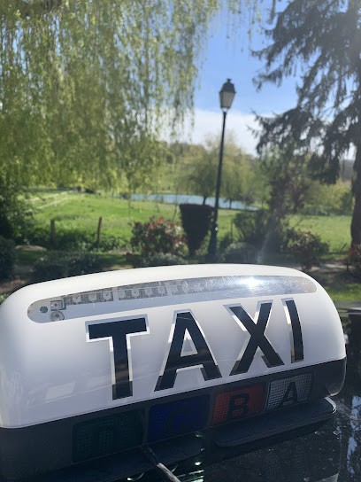 Taxi David, Taxi à Loconville