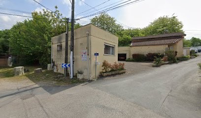 Favre Eliane, Taxi à Reyrieux