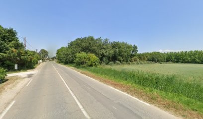 Rodier Jean-Louis, Taxi à Morières-lès-Avignon