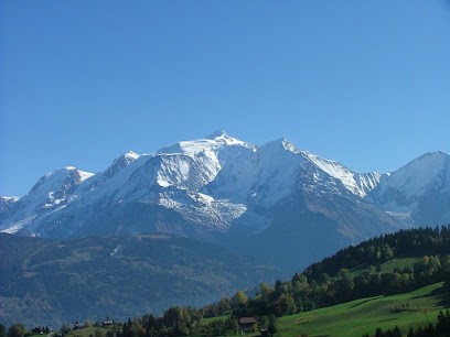 Alpes Taxi Transferts, Taxi à Saint-Gervais-les-Bains