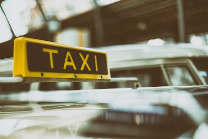 Le Taxi de la Plaine - Mathieu Vanbutsel, Taxi à Montréal