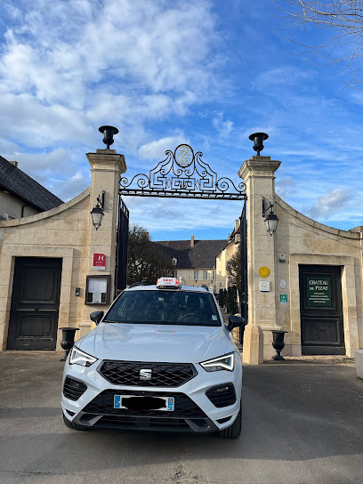 Elle M Taxi, Taxi à Villefranche-sur-Saône