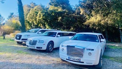Montpellier Limousine SAS (Site Officiel), Chauffeur Particulier VTC à Jacou