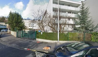 Dherant Laurent, Taxi au Pecq