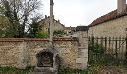 Gautheron Didier, Taxi à Chaumont