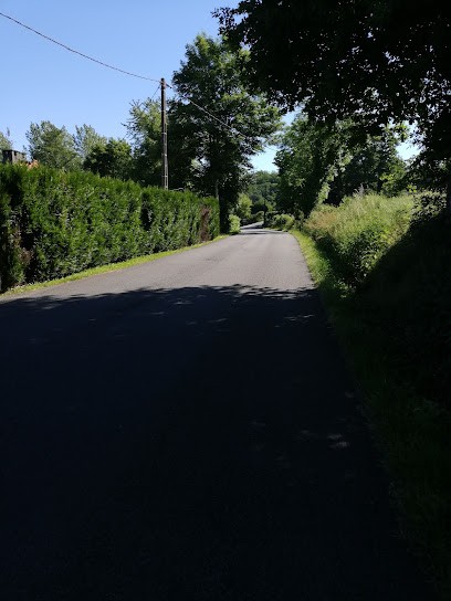 Royer Denis, Taxi à Condat-sur-Vienne