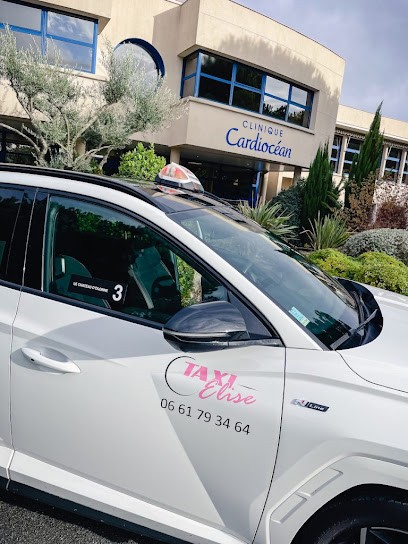 Retureau Elise, Taxi à Château-d'Olonne