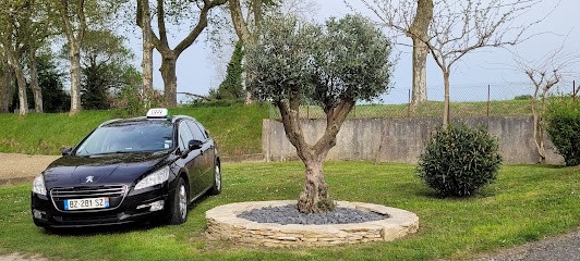 Taxi Patou, Taxi à Villefranche-de-Lauragais