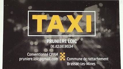 Taxi Pruniere, Taxi à Saint-Hilaire