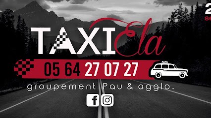 TAXIELA PAU (groupement Taxi Pau et agglo), Taxi à Pau