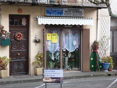 Haye Gérard, Taxi à Salviac