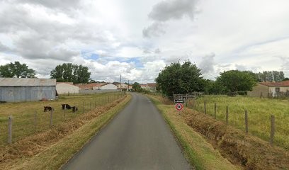 Robin Dominique, Taxi à Tonnay-Charente