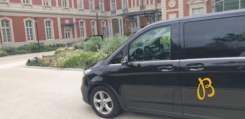 Elysea Car, Chauffeur Particulier VTC à Urrugne