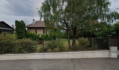 TAXI-FRONTALIER, Taxi à Divonne-les-Bains