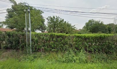 Matre Bertrand, Taxi à Lasserre-Pradère