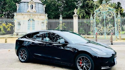 Taxi VTC TESLA DRIVER, Taxi à Solaize