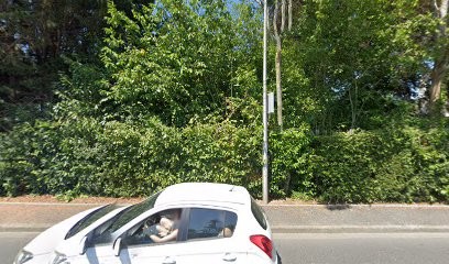 Demaris Bruno, Taxi à Tourgéville
