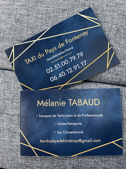 Taxi Du Pays De Fontenay, Taxi à Sainte-Hermine