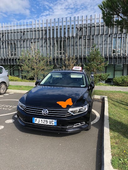 Taxis Geffroy, Taxi à Lanmodez