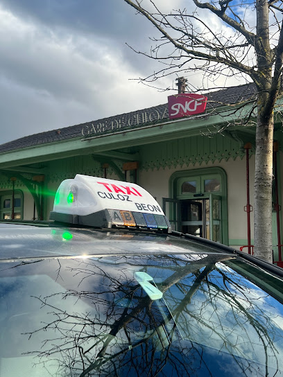Taxi Rv Taxi à Culoz-Béon