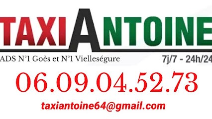 Taxi Antoine, Taxi à Oloron-Sainte-Marie