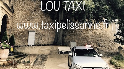 TAXI Pélissanne SAS LOU TAXI VSL Conventionné Médical Agréé CPAM 13 Provence, Taxi à Pélissanne