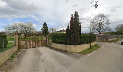 Savel Michèle, Taxi à Chaponnay