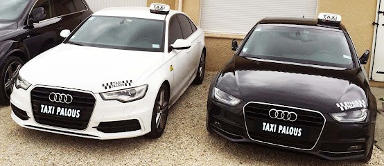 TAXI PALOUS, Taxi à Livron-sur-Drôme