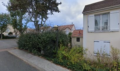 Lim Tek-Heng, Taxi à Saint-Thibault-des-Vignes