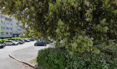 Ben Amor Laroussi, Taxi à Verrières-le-Buisson