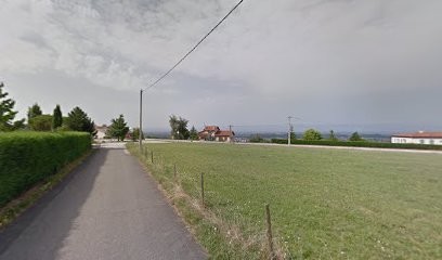 PELISSIER dominique, Taxi à Saint-Galmier