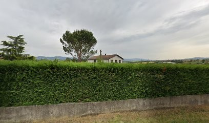 Bertholon Robert, Taxi à Dargoire